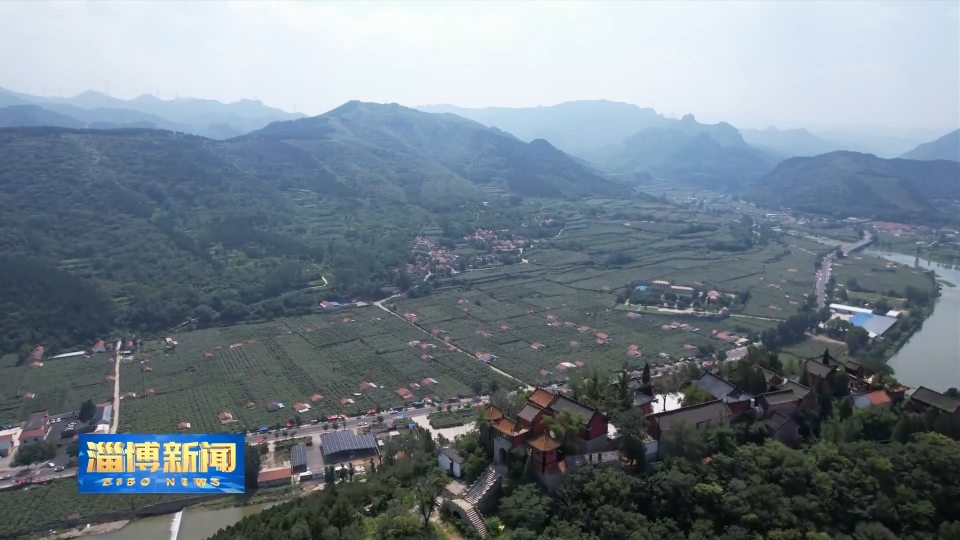 【淄博新闻】【一年好&ldquo;丰&rdquo;景收获时节】博山：2万亩猕猴桃喜获丰收 模式创新拓宽村民致富路