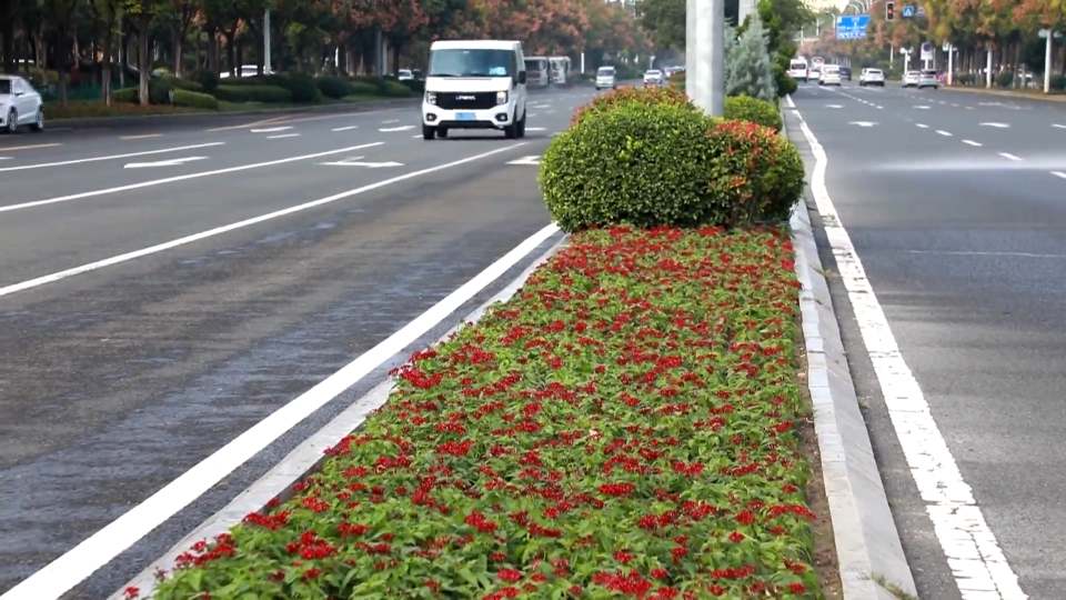 鲜花扮靓城市 &ldquo;双节&rdquo;更加多彩