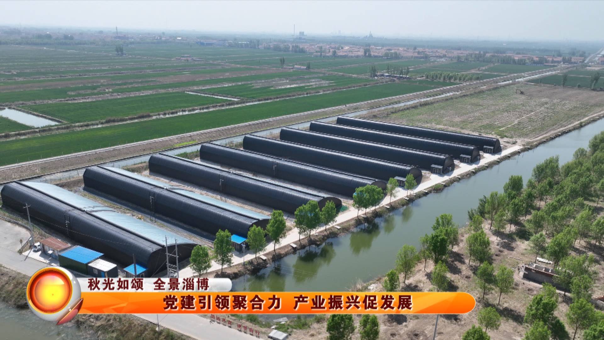 【秋光如颂 全景淄博】 党建引领聚合力 产业振兴促发展