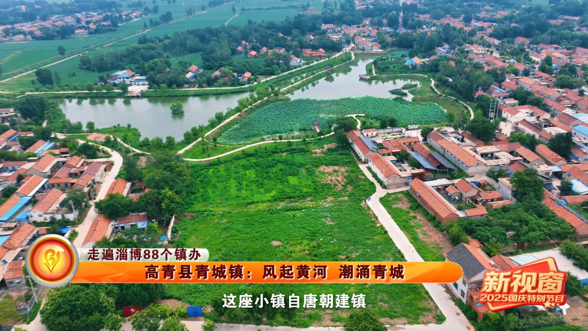 【走遍淄博88个镇办】高青县青城镇：风起黄河 潮涌青城