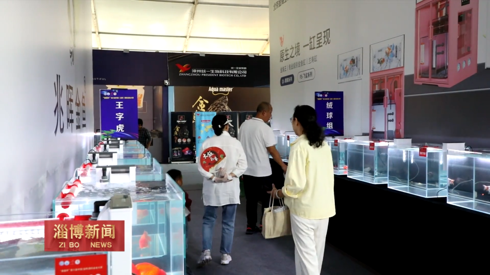 【淄博新闻】【秋光如颂 全景淄博】陶琉会：打造多元场景 激活消费动力