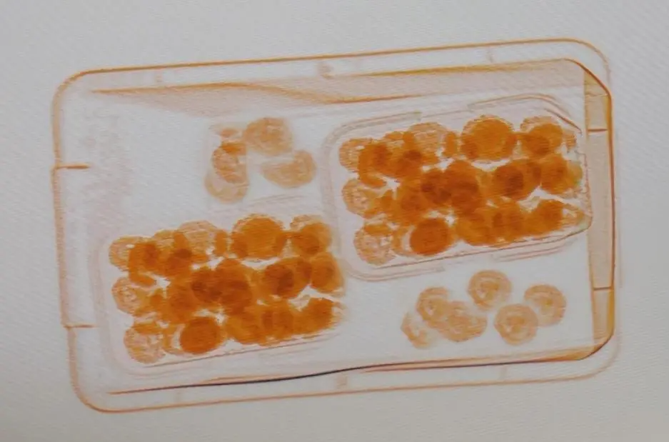 高铁站安检仪扫出好多&ldquo;小圆球&rdquo;&hellip;&hellip;