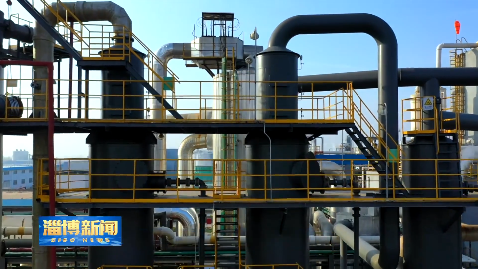 【淄博新闻】【一线调研&middot;&ldquo;镇&rdquo;兴路上】双杨镇：盘活闲置土地 激活发展活力