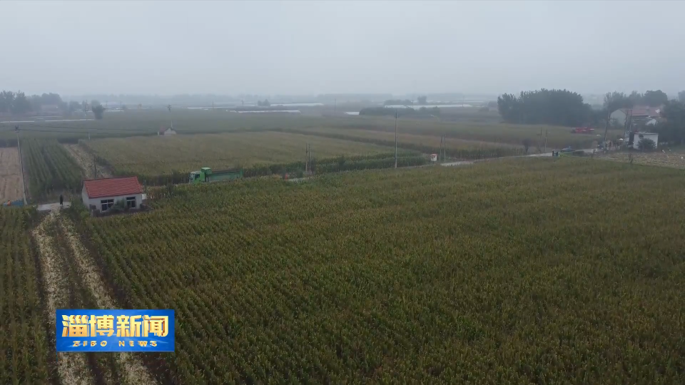 【淄博新闻】淄博：战秋雨 保农时 积极应对护&ldquo;三秋&rdquo;