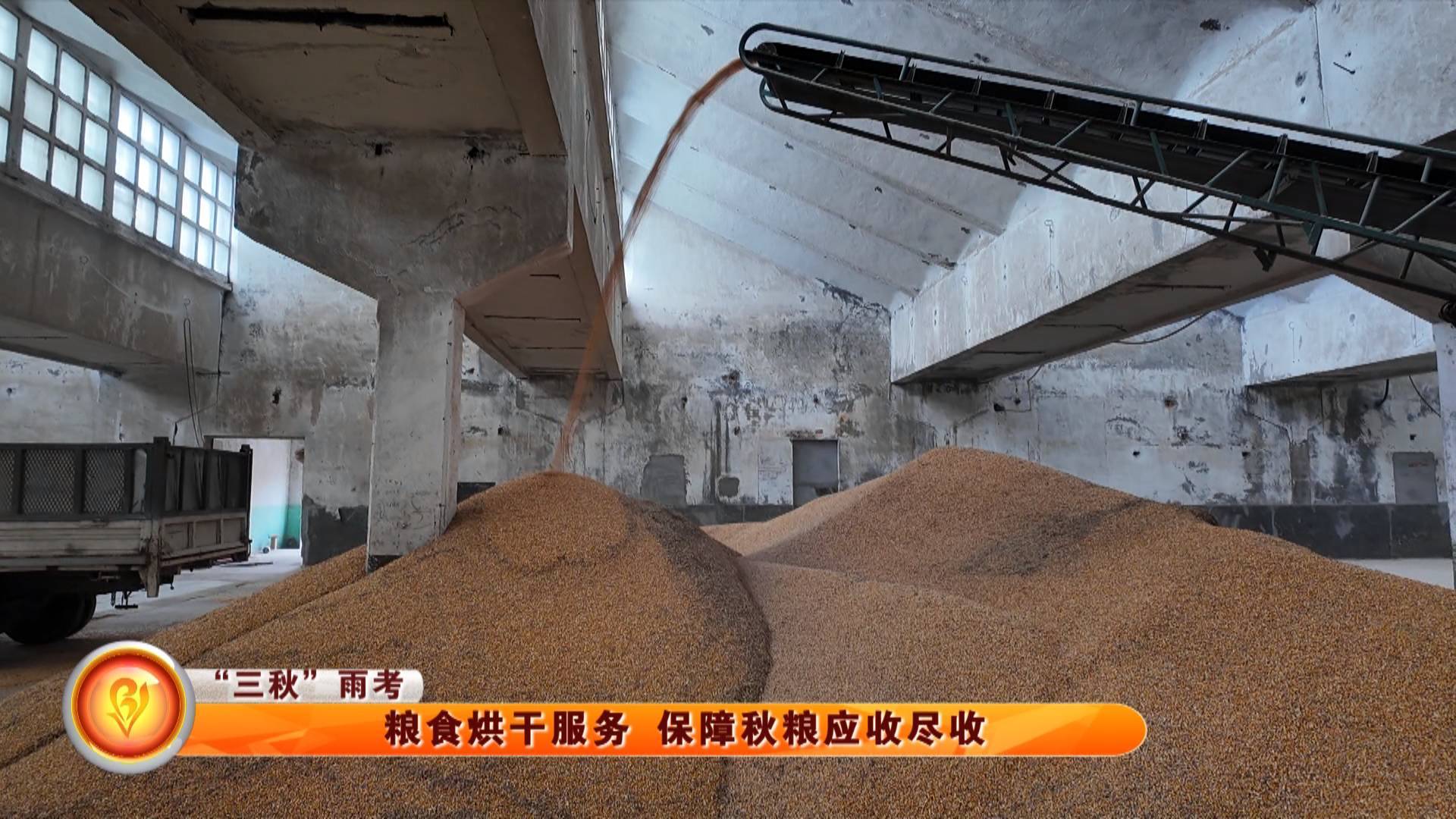 【&ldquo;三秋&rdquo;雨考】粮食烘干服务 保障秋粮应收尽收