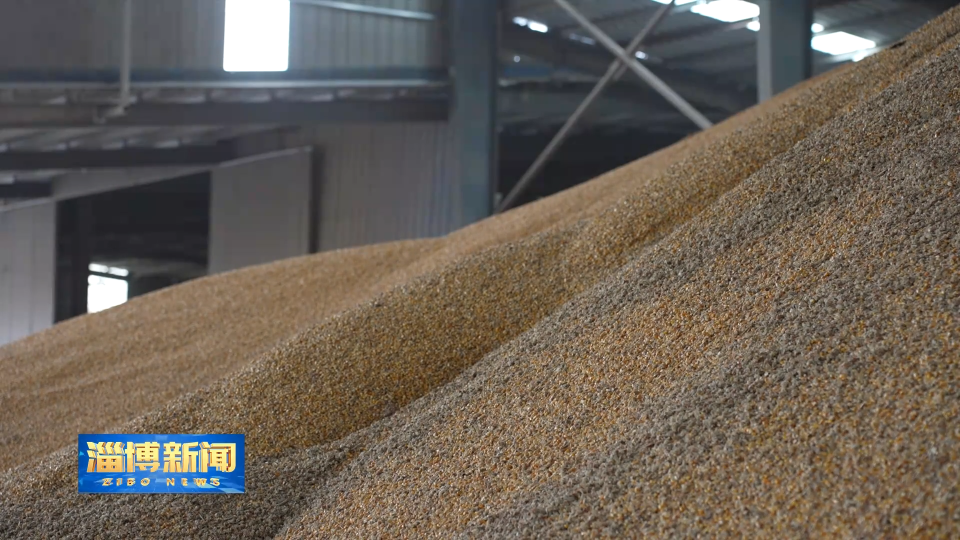 【淄博新闻】淄博：破雨困 抢农时 全力保障粮食安全