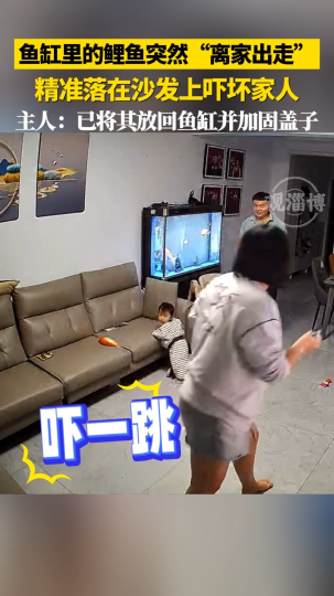 鱼缸里的鲤鱼突然&ldquo;离家出走&rdquo;，精准落在沙发上吓坏家人