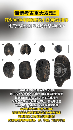淄博考古重大发现！距今9000年前的炭化小豆（赤豆）遗存，比黄帝炎帝的传说还要早4000年