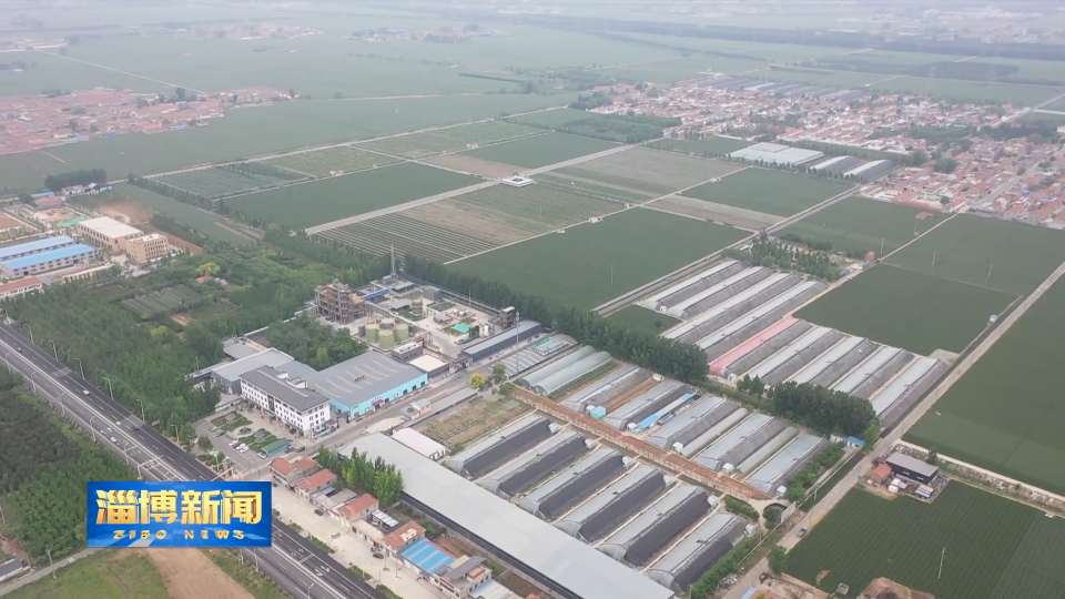 【淄博新闻】淄博：加强林果蔬菜管理 应对持续阴雨天气