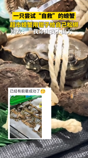超市螃蟹用钳子给自己松绑，&ldquo;我命由我不由天&rdquo;