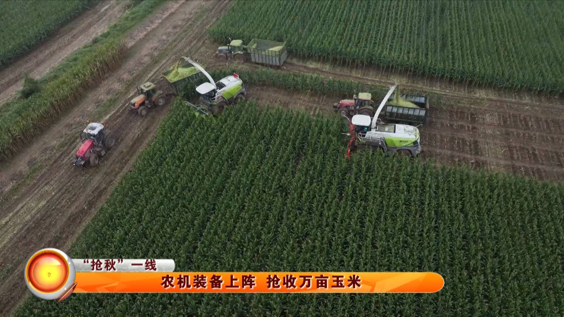 【&ldquo;抢秋&rdquo;一线】农机装备上阵 抢收万亩玉米