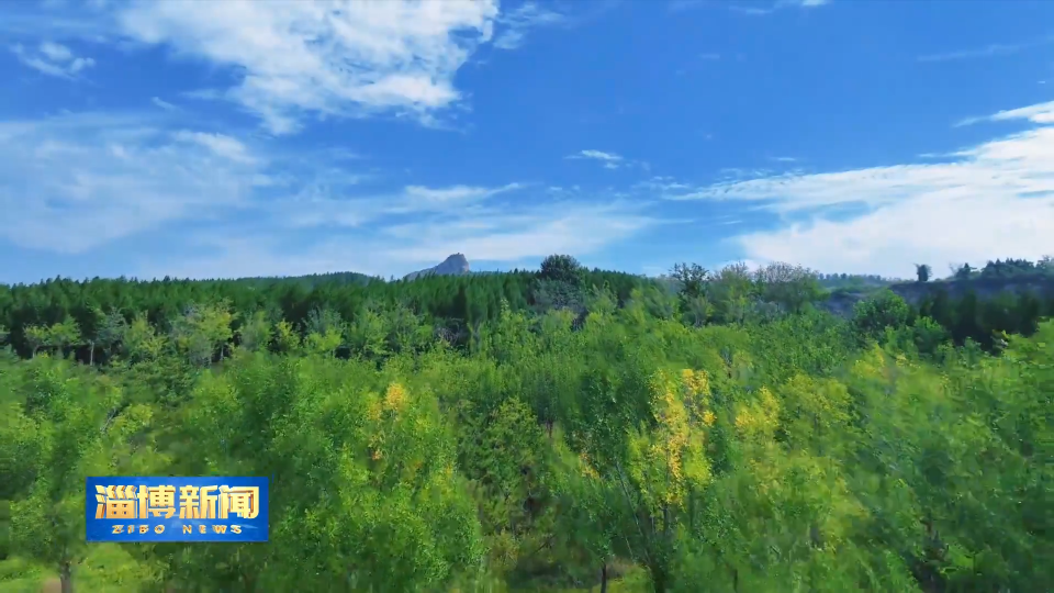 【淄博新闻】淄博高新区：秋日魅力与诗意风光