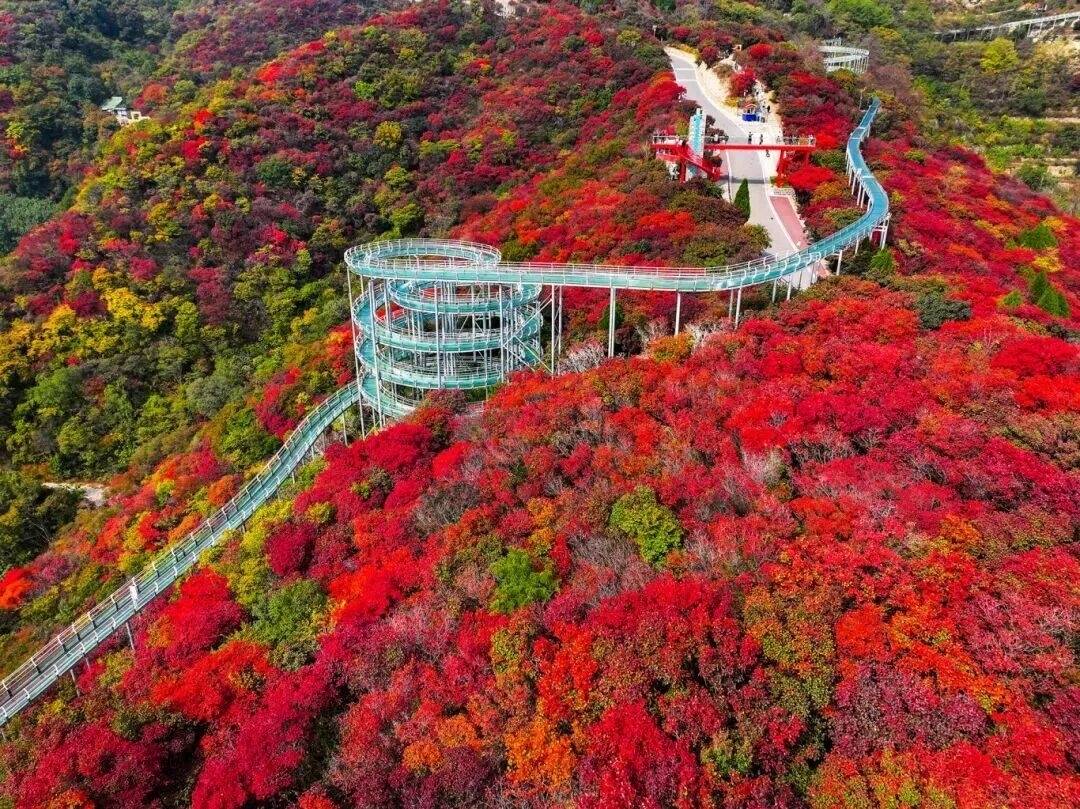 10月17日，淄博这些人免门票！