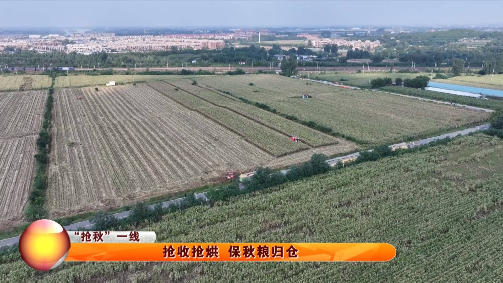 【&ldquo;抢秋&rdquo;一线】抢收抢烘 保秋粮归仓