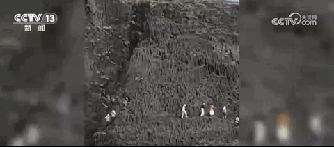 无人岛竟成网红打卡地、垃圾成堆！当地最新回应&rarr;