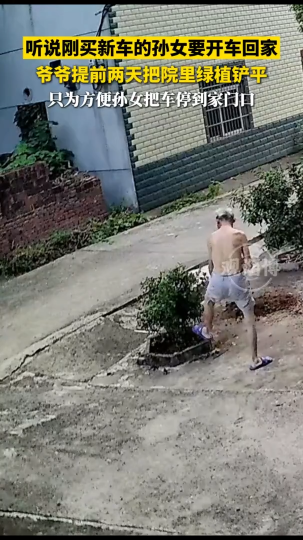 听说刚买新车的孙女要开车回家，爷爷提前两天把院里绿植铲平