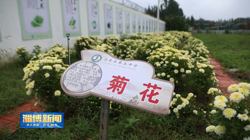 【淄博新闻】淄博：劳动教育点亮别样课堂