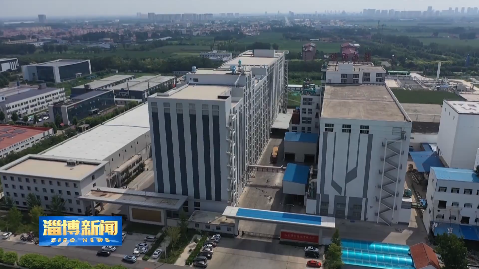 【淄博新闻】【走在前 挑大梁&middot;产业链上的山东好品牌】梨花面业：科技赋能 推动面粉行业健康升级