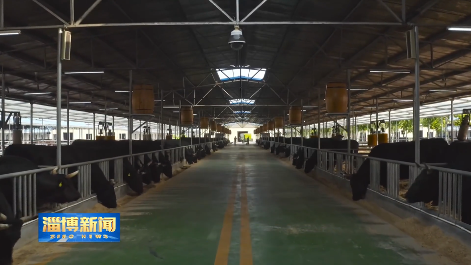 【淄博新闻】高青黑牛科技小院入选中国农村专业技术协会科技小院名单