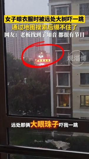 女子晾衣服时被远处大树吓一跳 通过地图搜索后绷不住了