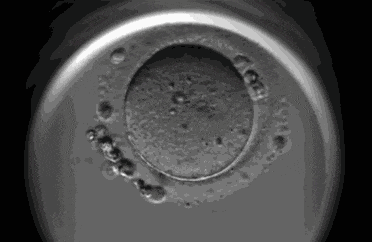 医生提醒：这3种炎症，拖着不治可能&ldquo;致癌&rdquo;