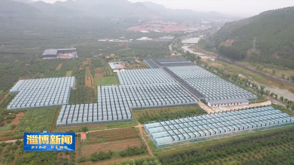 【淄博新闻】【一线调研&middot;&ldquo;镇&rdquo;兴路上】沂源县东里镇：&ldquo;产供销&rdquo;链式发展推动农业转型升级