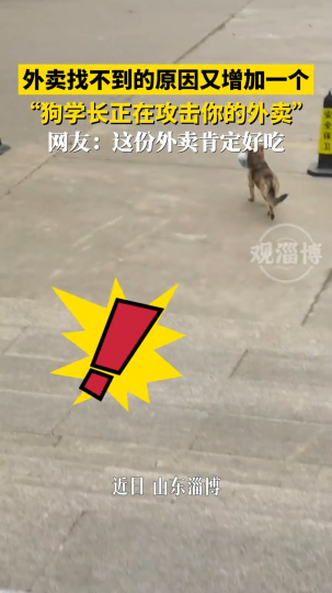 外卖找不到的原因又增加一个，&ldquo;狗学长正在攻击你的外卖&rdquo;