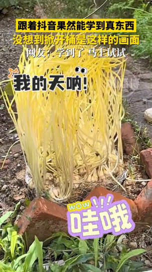 跟着抖音果然能学到真东西，没想到掀开桶是这样的画面