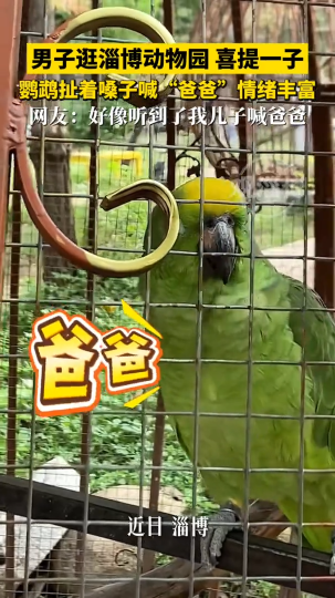 男子逛淄博动物园喜提一子，鹦鹉扯着嗓子喊&ldquo;爸爸&rdquo;情绪丰富