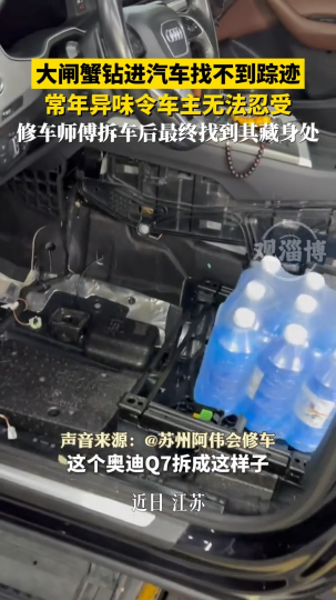 大闸蟹钻进汽车找不到踪迹，常年异味令车主无法忍受