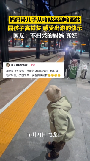 妈妈带儿子从哈站坐到哈西站，圆孩子高铁梦，感受出游的快乐
