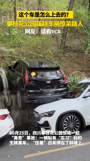 攀枝花公园蹊跷车祸惊呆路人，这个车是怎么上去的