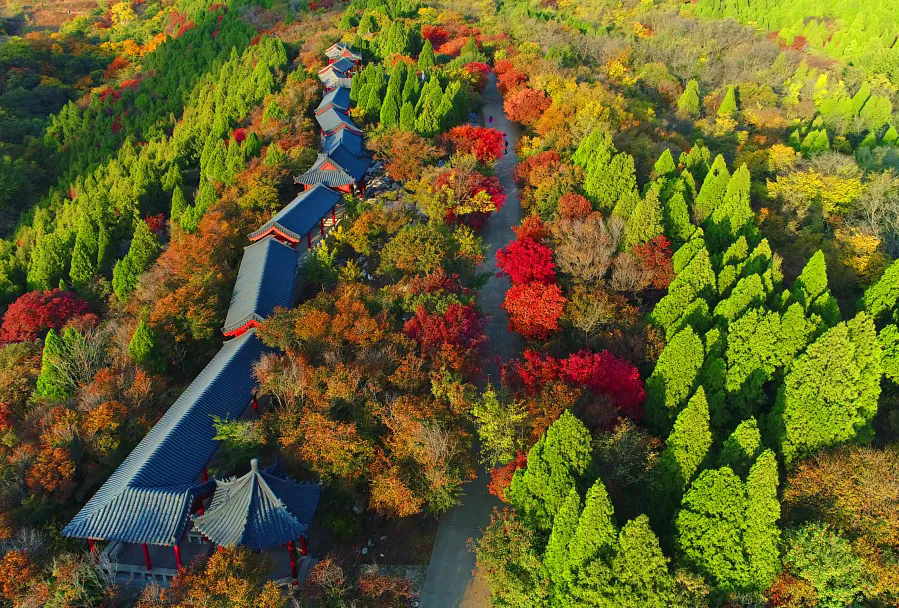 太热闹了！张店这些地方都在开展！