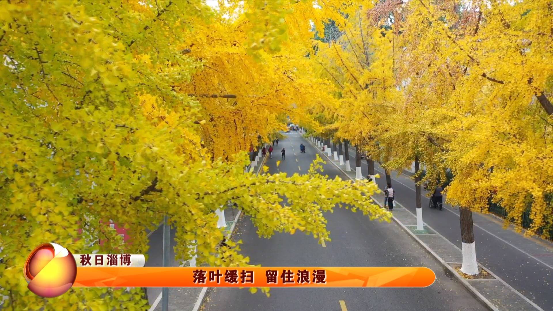 【秋日淄博】落叶缓扫 留住浪漫