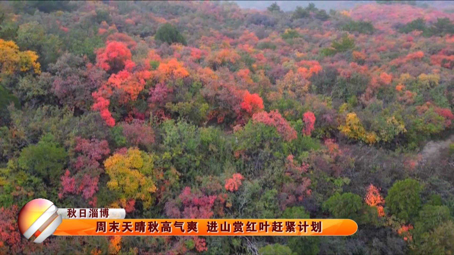 【秋日淄博】周末天晴秋高气爽 进山赏红叶赶紧计划