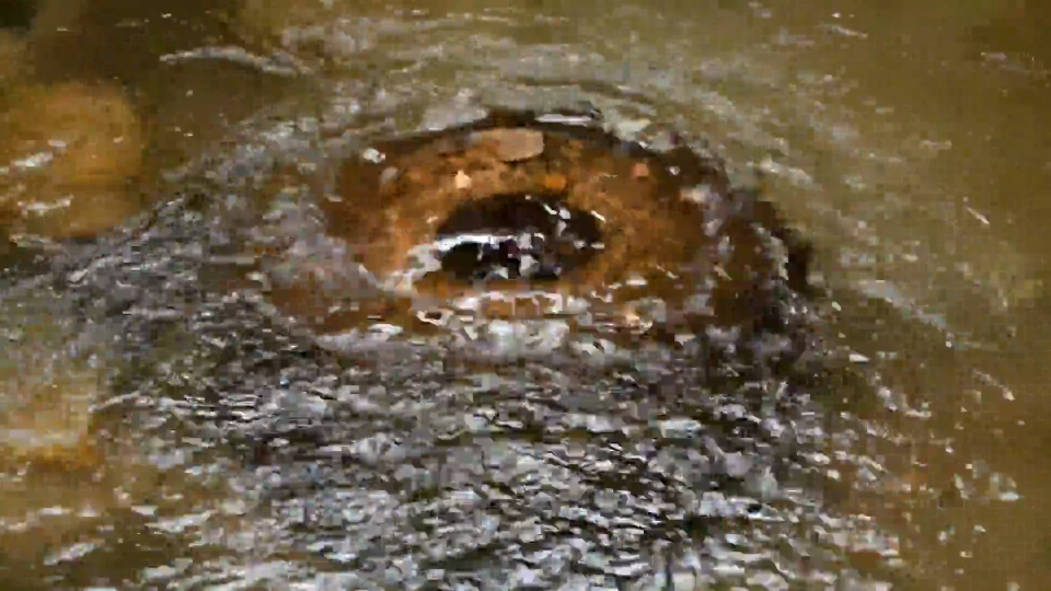 南鲁山镇：国际品牌&ldquo;牵手&rdquo;富锶泉   &ldquo;健康水&rdquo;描绘乡村新图景