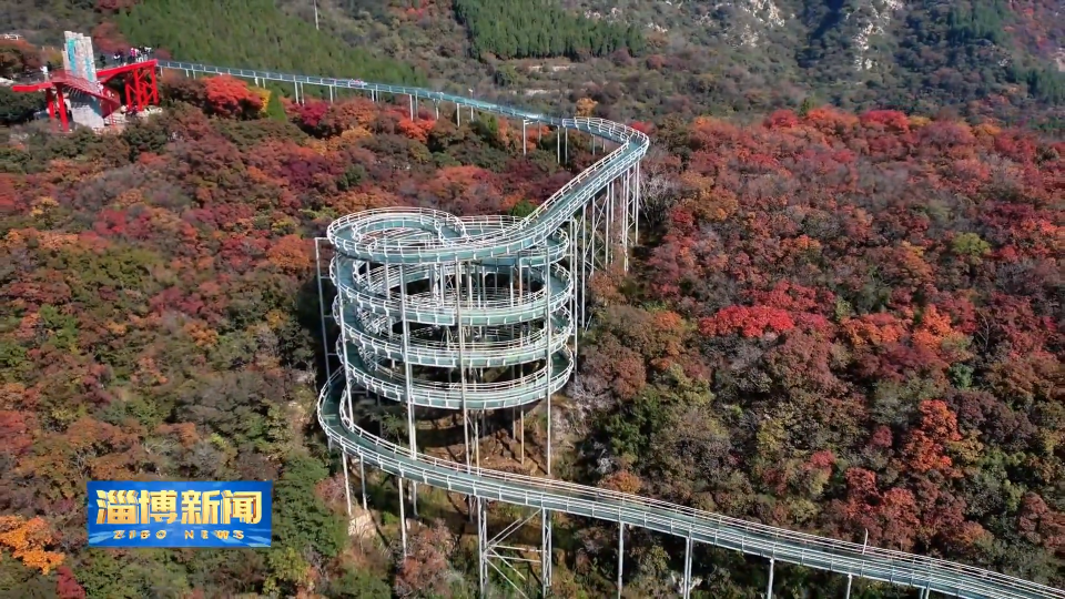 【淄博新闻】【打造乡村振兴齐鲁样板】淄博：&ldquo;红叶经济&rdquo;蓬勃兴起 绘就乡村振兴新画卷