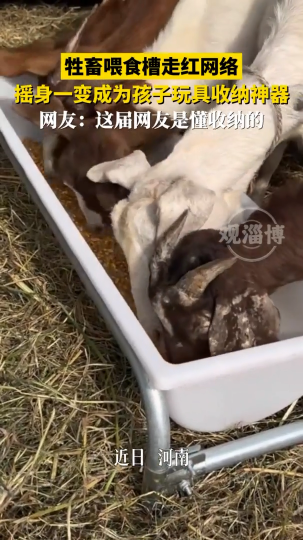 牲畜喂食槽走红网络，摇身一变成为孩子玩具收纳神器