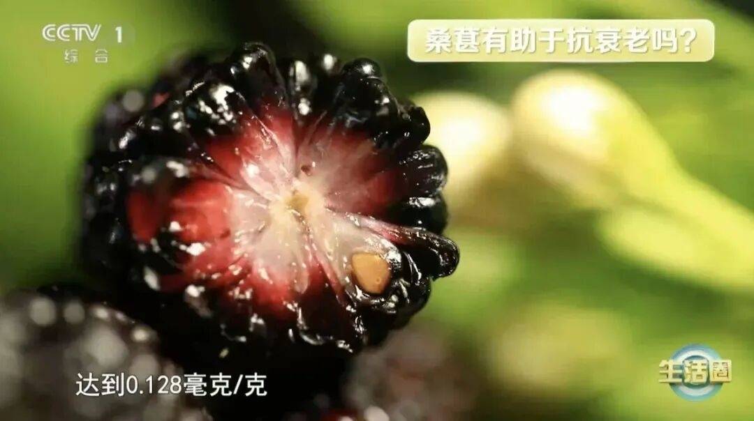 秋冬&ldquo;神仙果&rdquo;找到了，让你气血足、睡得好、不显老