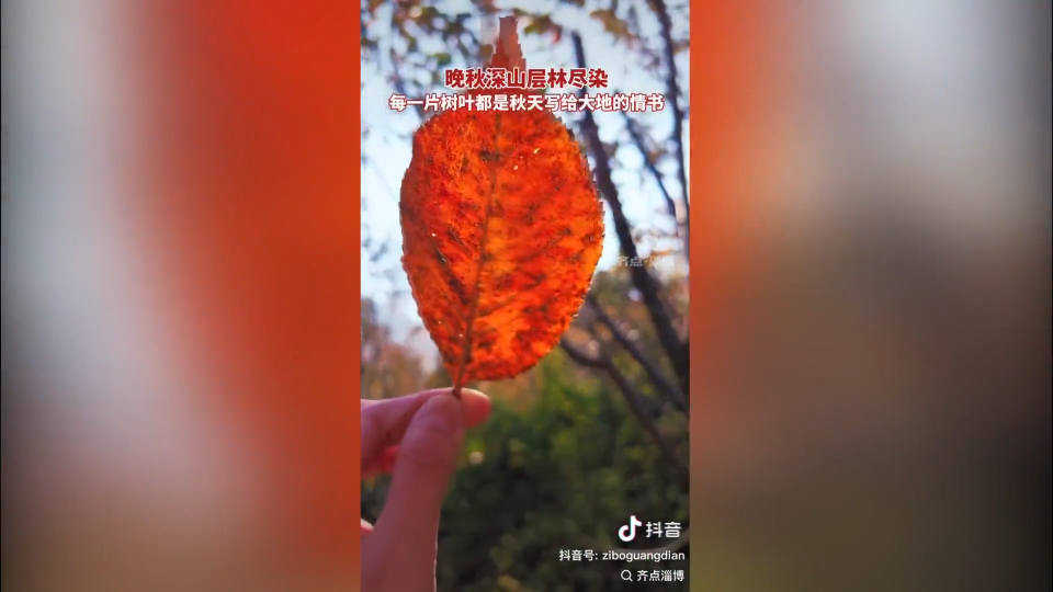 齐点淄博 尽享秋日美好