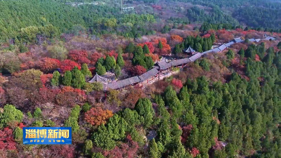 【淄博新闻】原山林场：&ldquo;赏秋游&rdquo;激活文旅市场活力