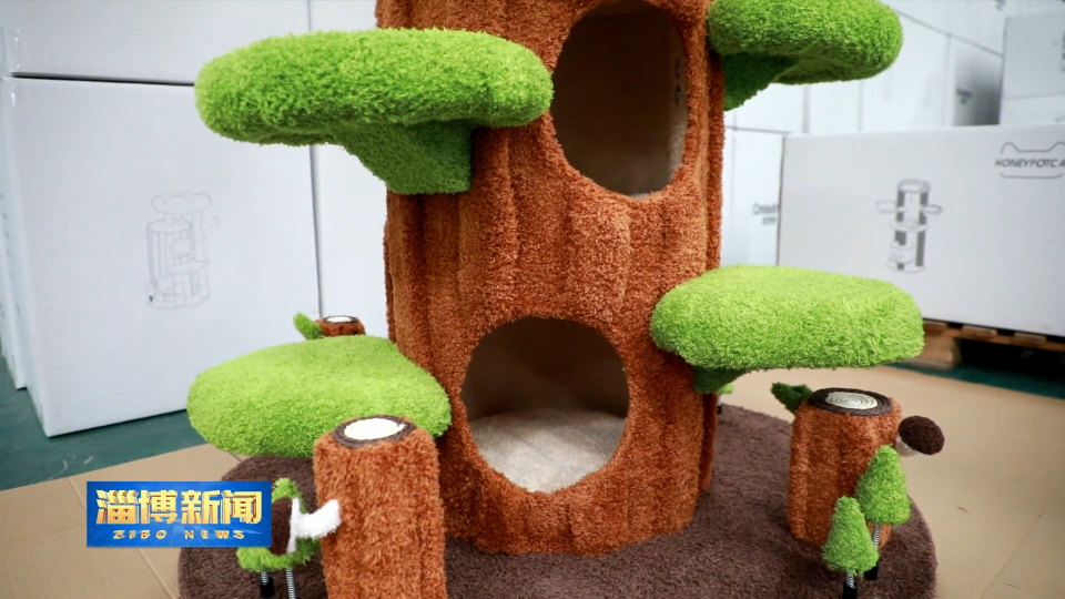 【淄博新闻】【走在前 挑大梁&middot;产业链上的山东好品牌】淄博：宠物经济玩出新花样 激发消费新动能