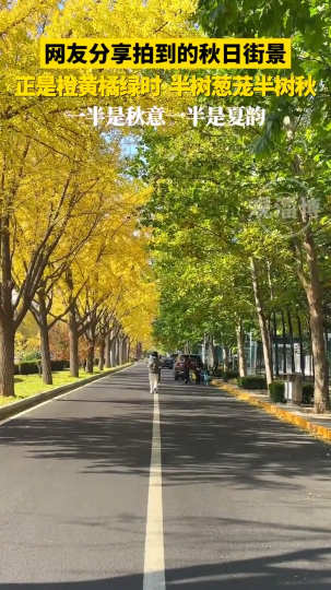 网友分享秋日街景，一半是秋意，一半是夏韵