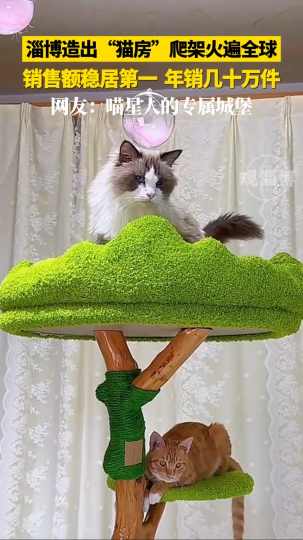 淄博造出&ldquo;猫房&rdquo;爬架火遍全球，销售额稳居第一，年销几十万件