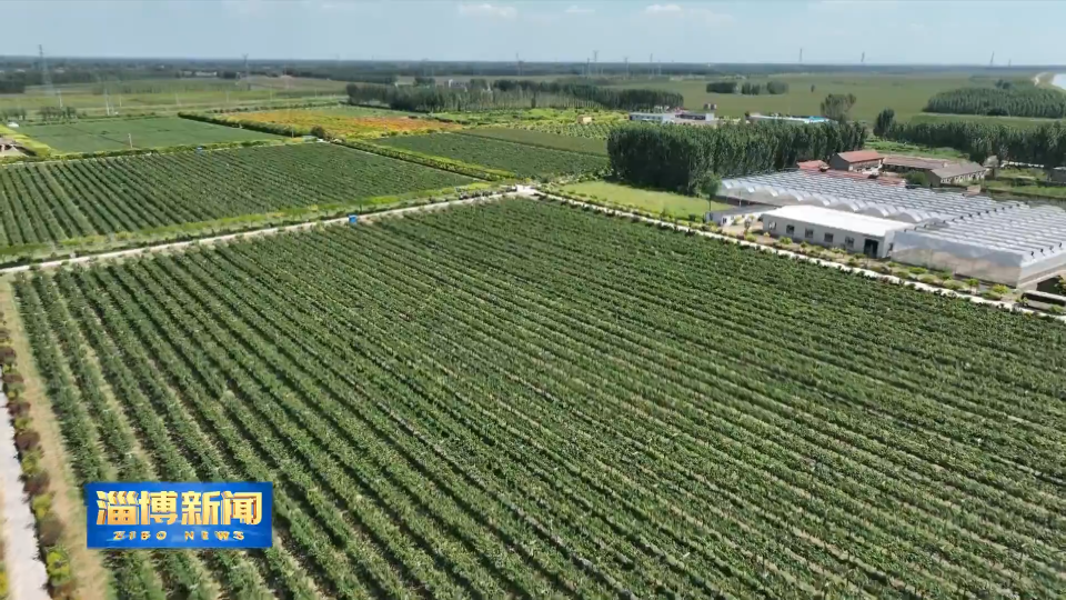 【淄博新闻】【打造乡村振兴齐鲁样板】淄博：巧算农业&ldquo;循环账&rdquo;助力乡村振兴
