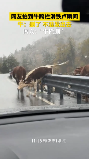 网友拍到牛跨栏滑铁卢瞬间，牛：删了，不准发出去