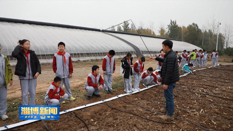 【淄博新闻】淄博：校企合作 构建劳动教育育人体系
