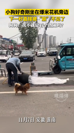 小狗好奇刚坐在爆米花机旁边，下秒直接被&ldquo;崩&rdquo;不见了