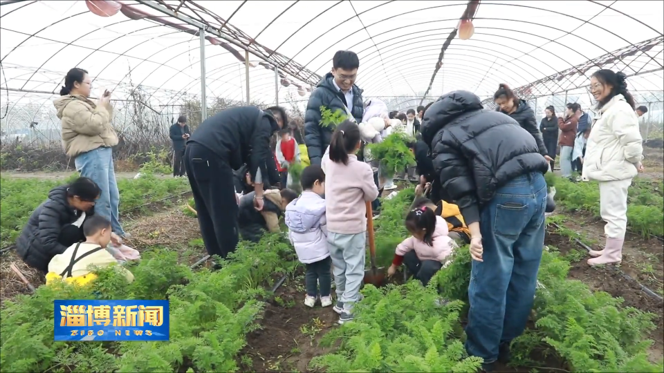 【淄博新闻】【打造乡村振兴齐鲁样板】&ldquo;研学+乡村&rdquo;让行走的课堂更精彩
