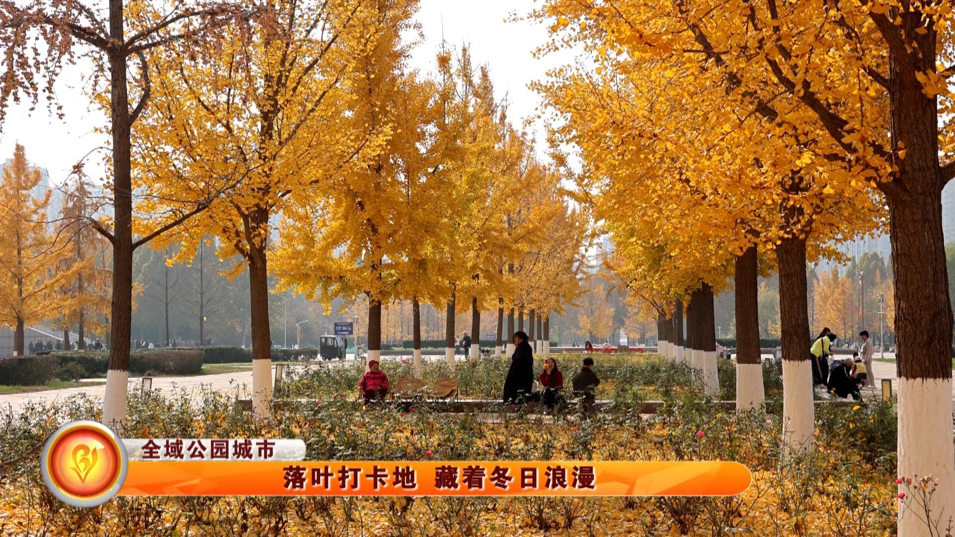 【全域公园城市】落叶打卡地 藏着冬日浪漫